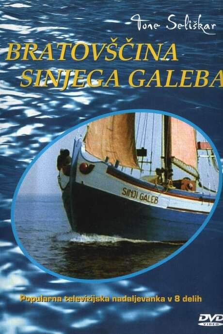 The Cyan-Blue Seagull Brotherhood